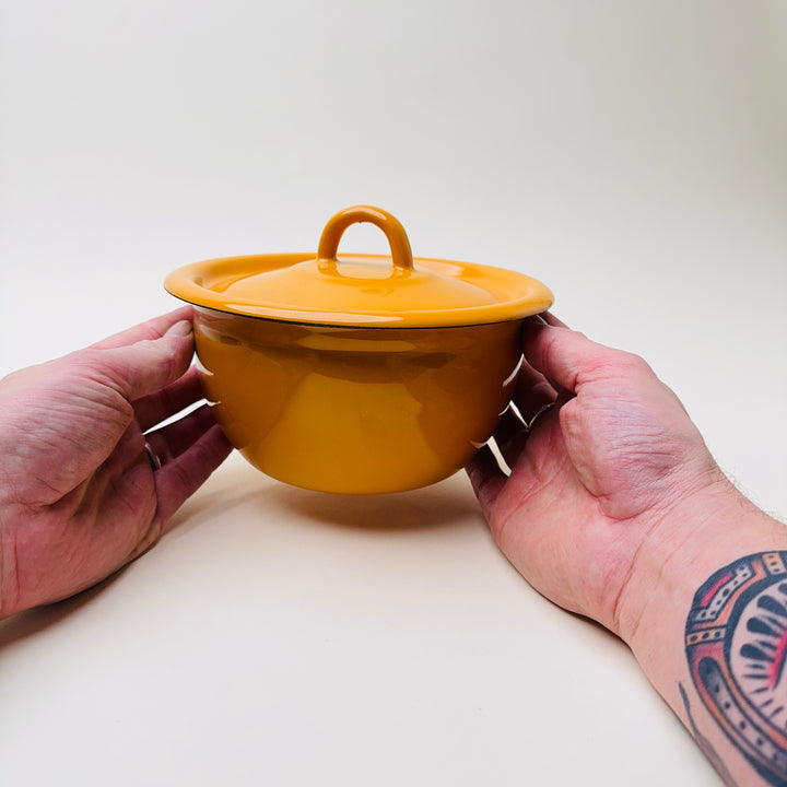 Medium Enamel Bowl with lid