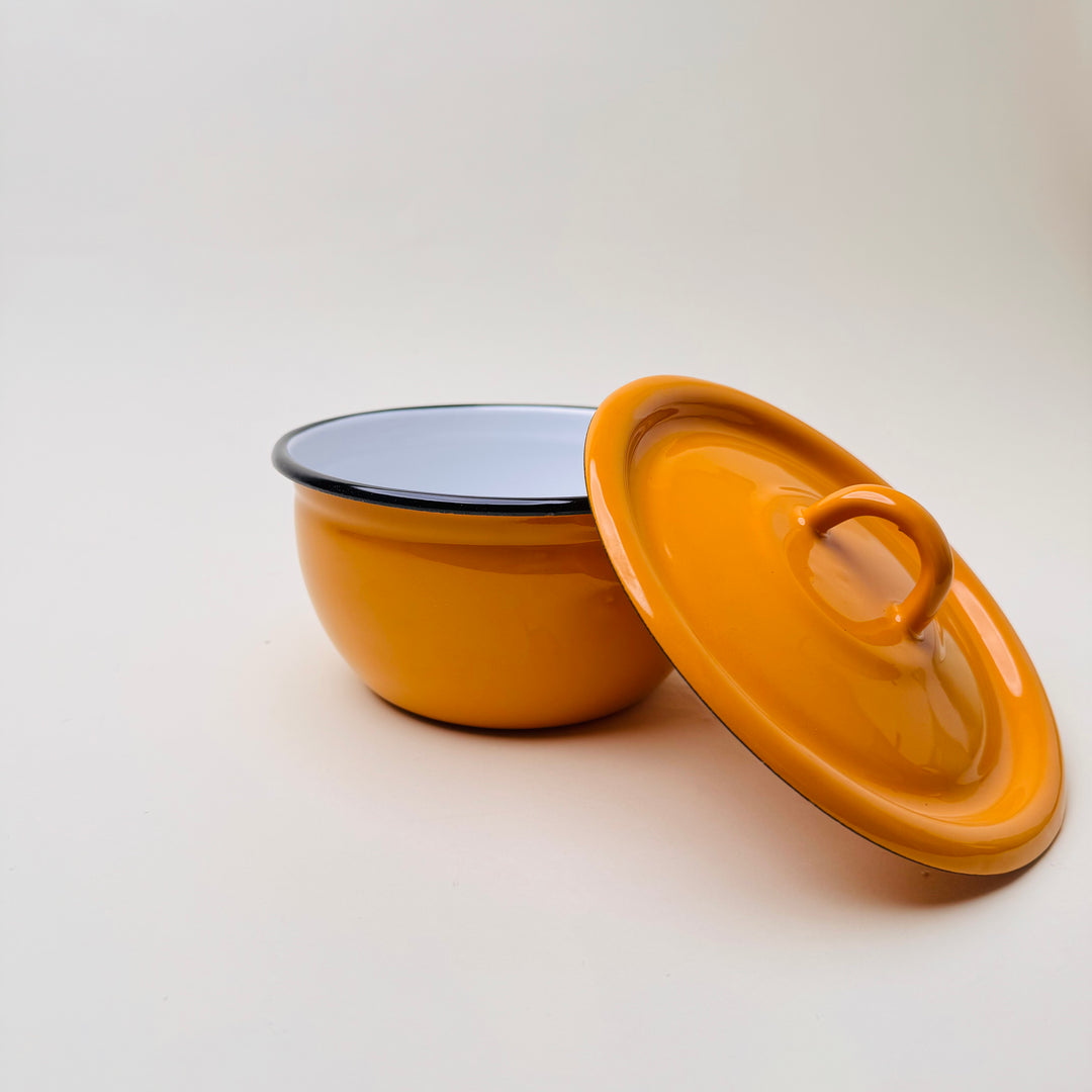 Medium Enamel Bowl with lid