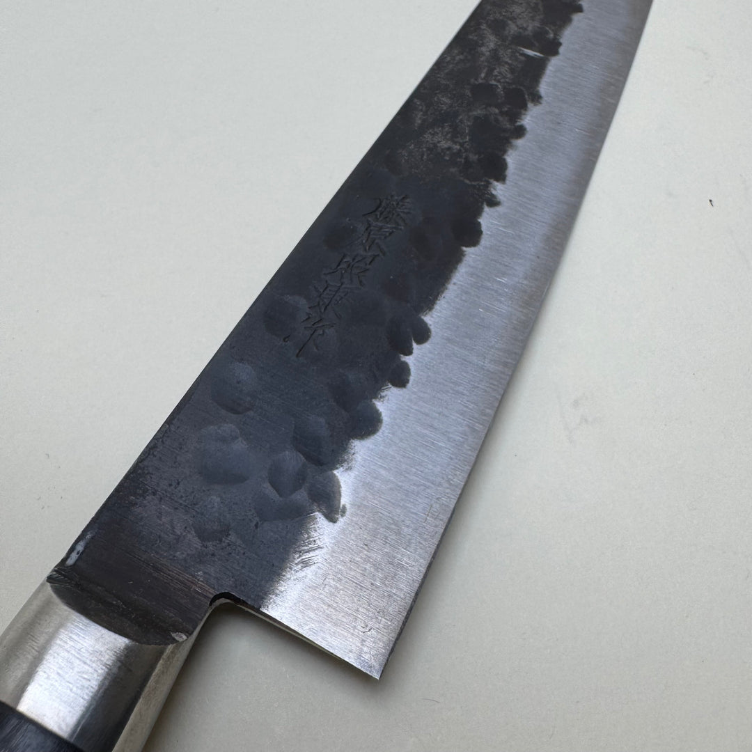 Teruyasa Fujiwara Denka Sujihiki 210mm