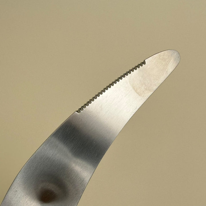 Stainless Steel Kiwi Spoon-utensil-Community Cutlery