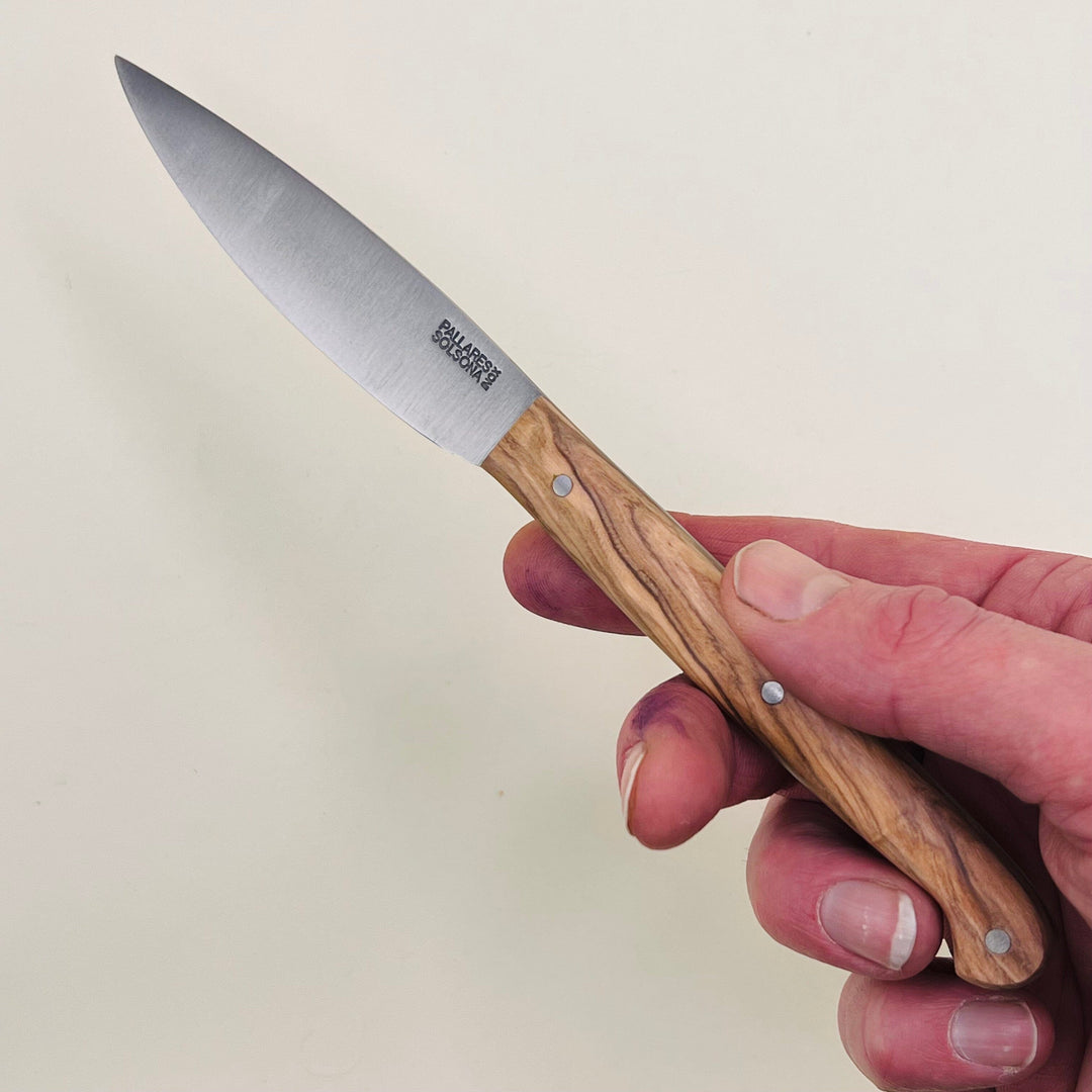 Pallares - Slim Table Knife Pallares Solsana 