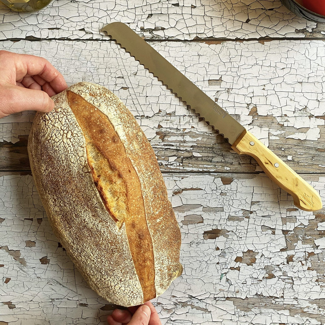 Pallares - Bread Knife - Community Cutlery